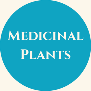Medicinale planten